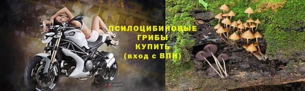 стаф Алексин