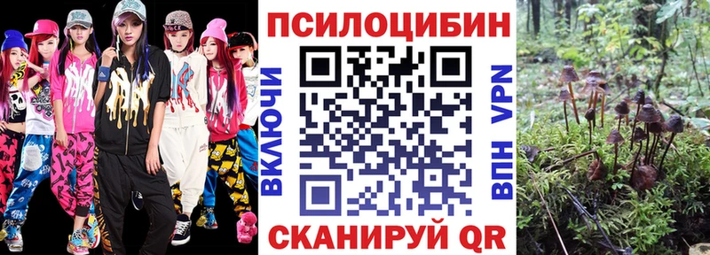 Псилоцибиновые грибы Magic Shrooms  купить наркотики сайты  Димитровград 